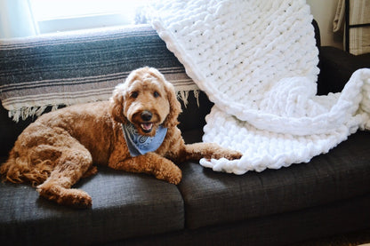 Tennessee Hand-Knit Blanket